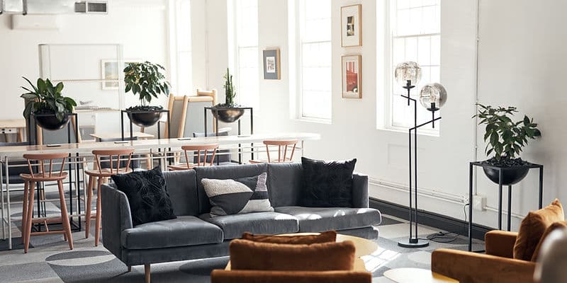 Thin Rhinoplasty: The Signature of Dr. Jonas Bico